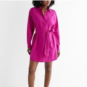 Express Portofino Dress